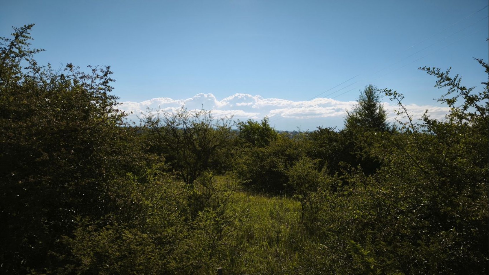 ¡Oportunidad en Villa General Belgrano! Dos lotes de 2000 m2 c/u con excelentes vistas a las sierras y a minutos del centro.