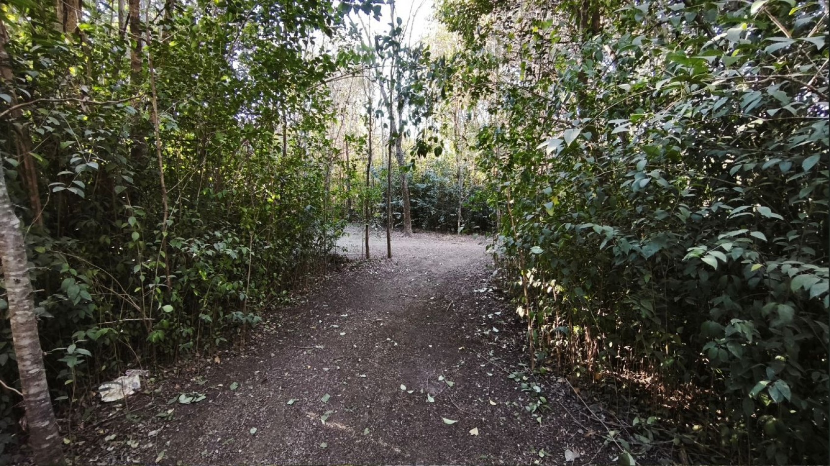 2 amplios lotes con excelente ubicacion en Villa Ciudad Parque, sobre la avenida principal