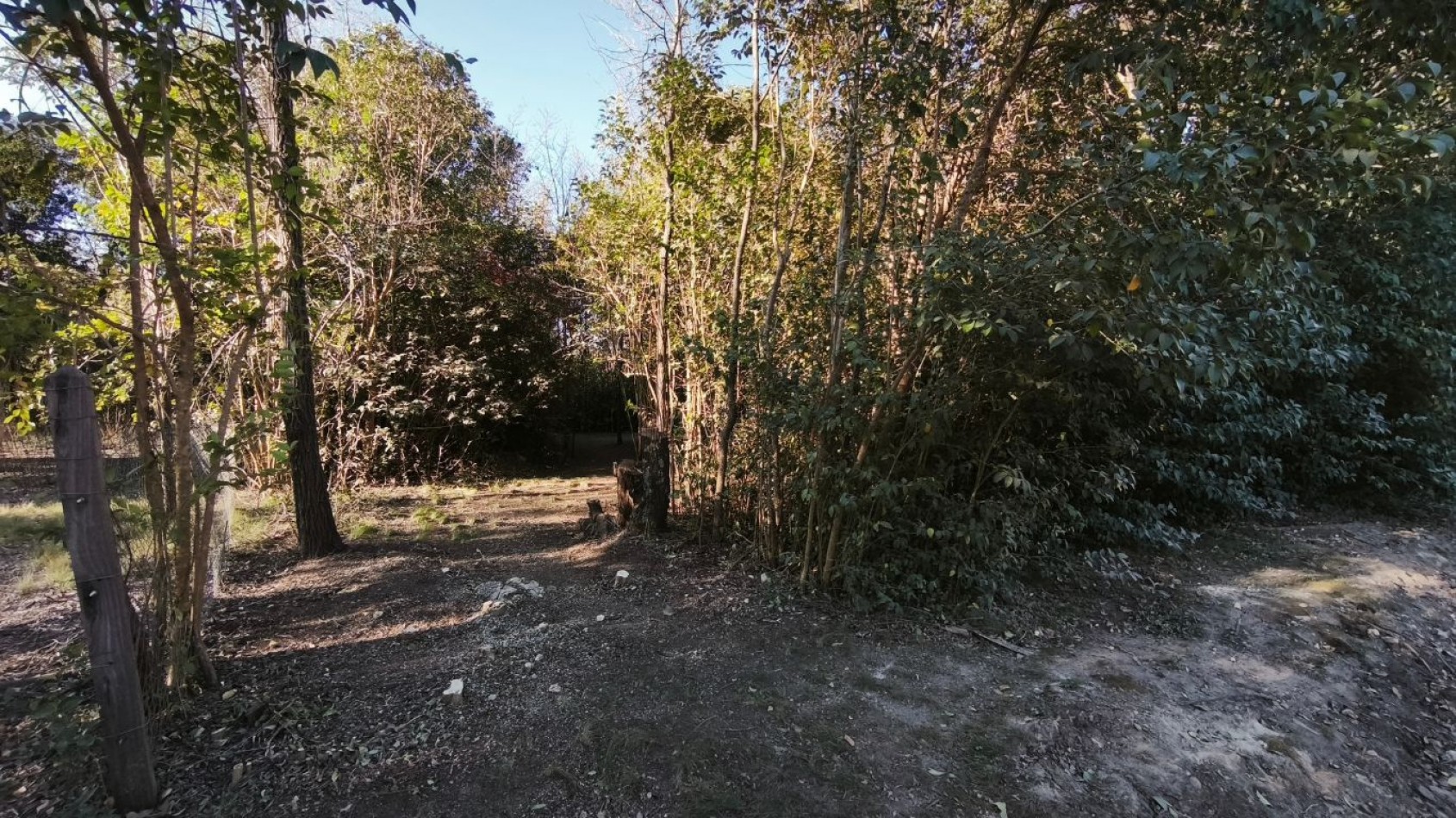 2 amplios lotes con excelente ubicacion en Villa Ciudad Parque, sobre la avenida principal