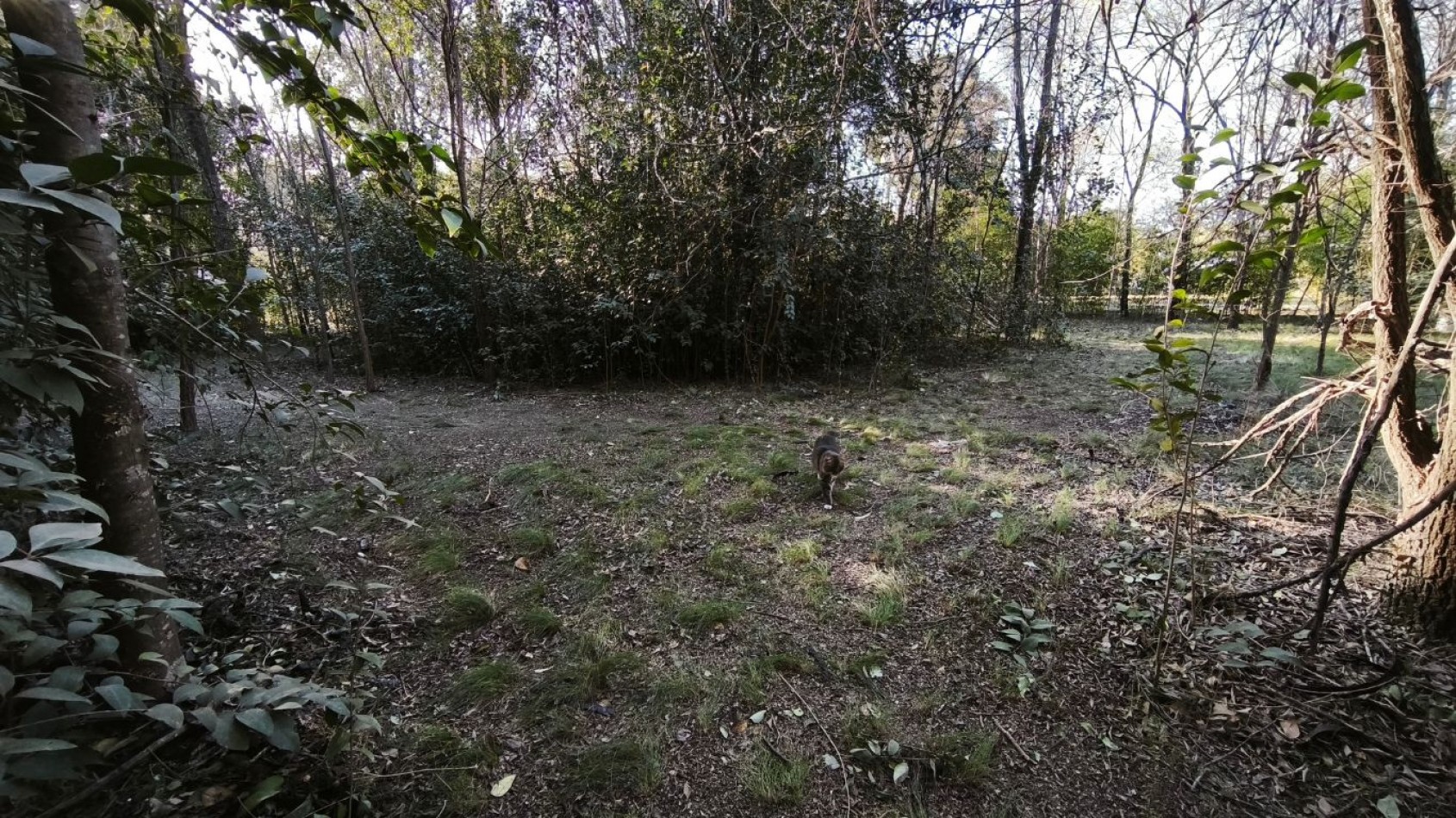 2 amplios lotes con excelente ubicacion en Villa Ciudad Parque, sobre la avenida principal