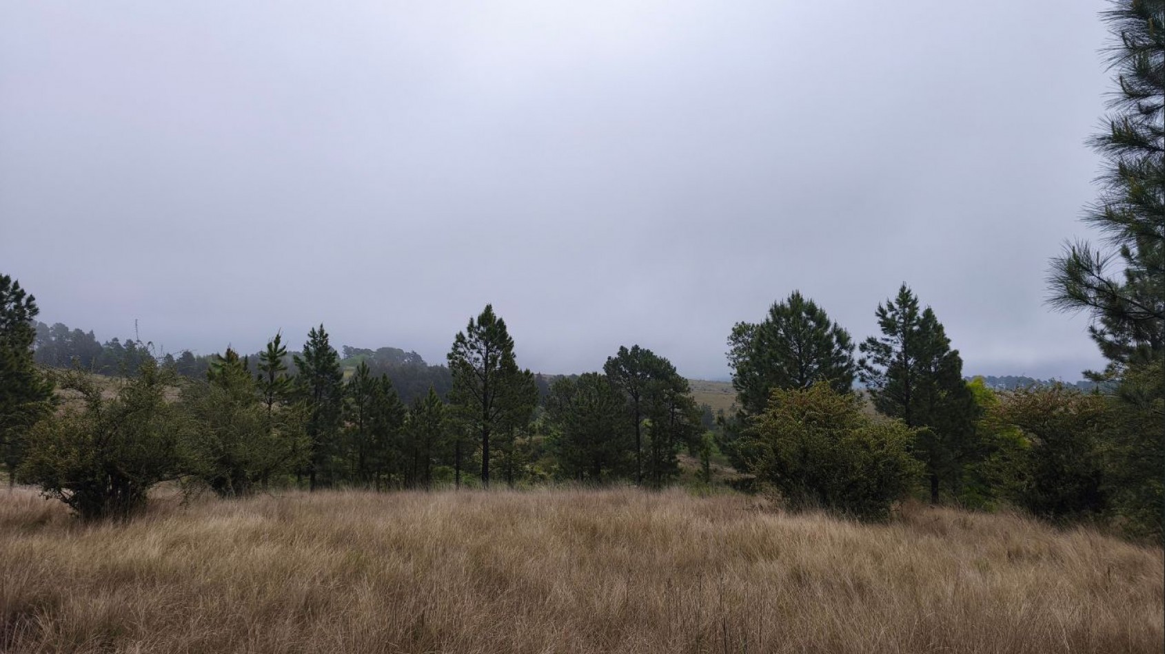 UNA HECTAREA EN VILLA BERNA - NATURALEZA, VISTAS Y TRANQUILIDAD