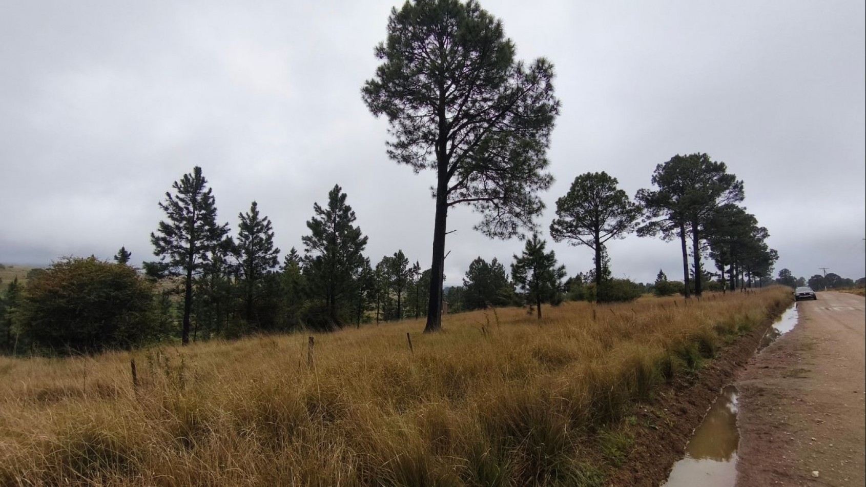 UNA HECTAREA EN VILLA BERNA - NATURALEZA, VISTAS Y TRANQUILIDAD