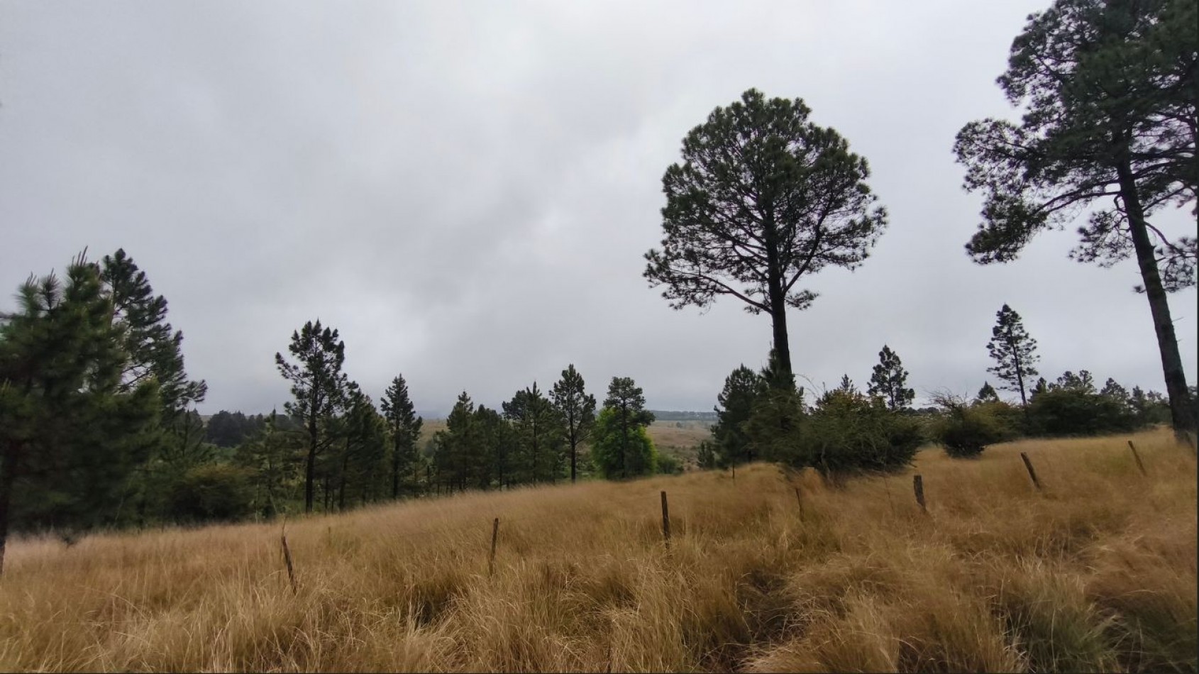 UNA HECTAREA EN VILLA BERNA - NATURALEZA, VISTAS Y TRANQUILIDAD