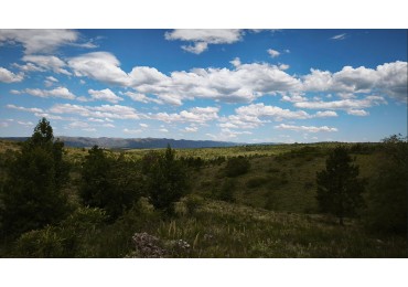 VENTA DE CAMPO DE 7 HECTAREAS CON 2 CABAÑAS DE TRONCOS EN LOS REARTES