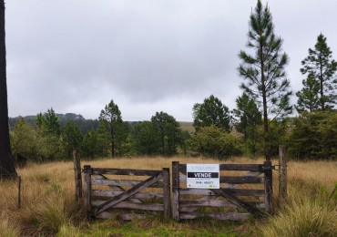 UNA HECTAREA EN VILLA BERNA - NATURALEZA, VISTAS Y TRANQUILIDAD